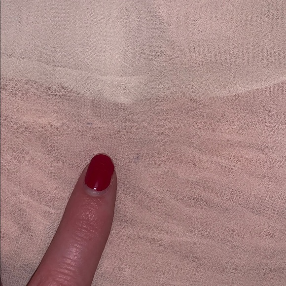 Beige sheer button-down collared women’s blouse - Picture 5 of 6